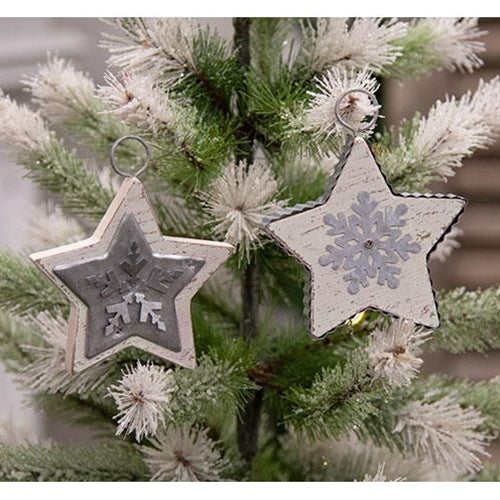 Galvanized Star Ornament 2 Asstd.