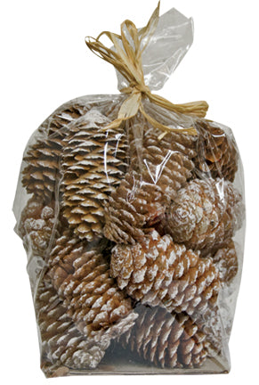 Snowy Pinecone Fillers 6 oz.