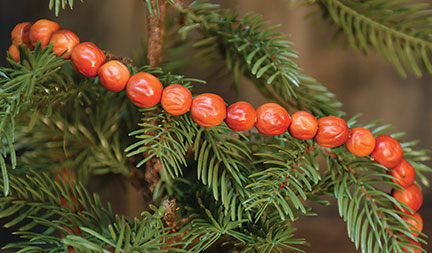 Orange Berry Garland