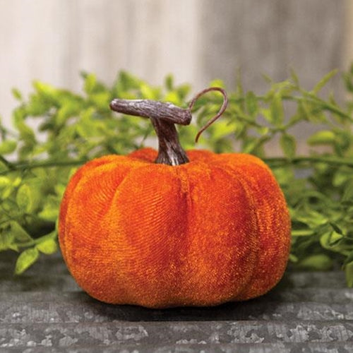 Velvet Orange Pumpkin