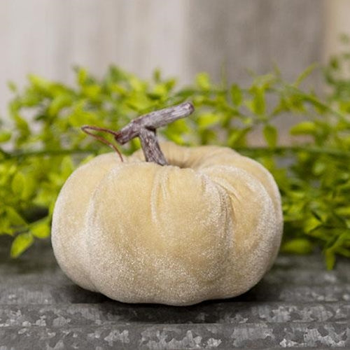 Velvet Beige Pumpkin