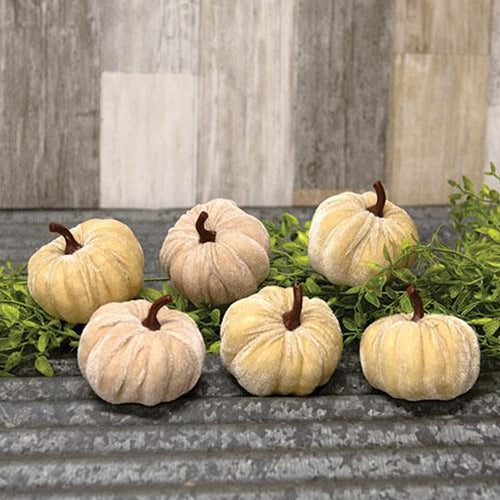 6/Set Mini Velvet Beige Pumpkins