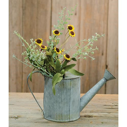 Bird's Eye Daisy Bush Yellow 18"