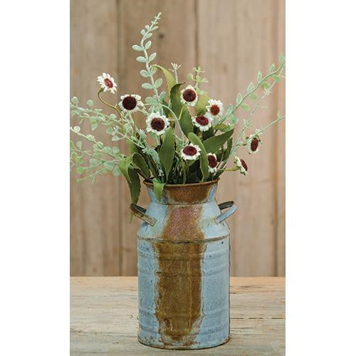 Bird's Eye Daisy Bush Cream 18"