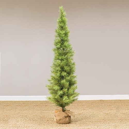 Slim Long Needle Pine Tree w/Burlap Base 6 ft.