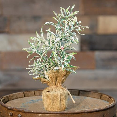 Frosty Herb Tree 10"