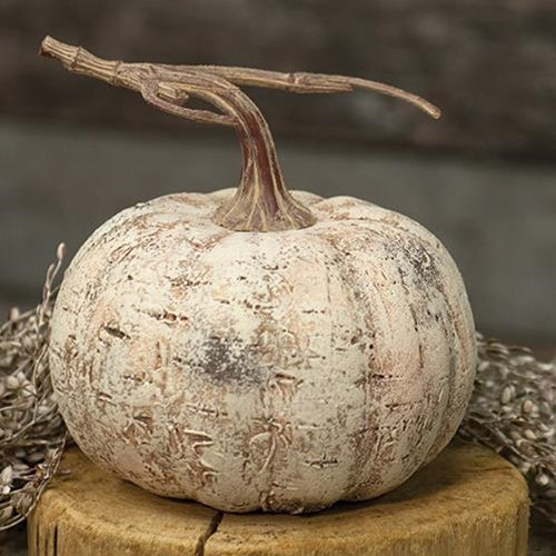 '+White Birch Pumpkin 6"